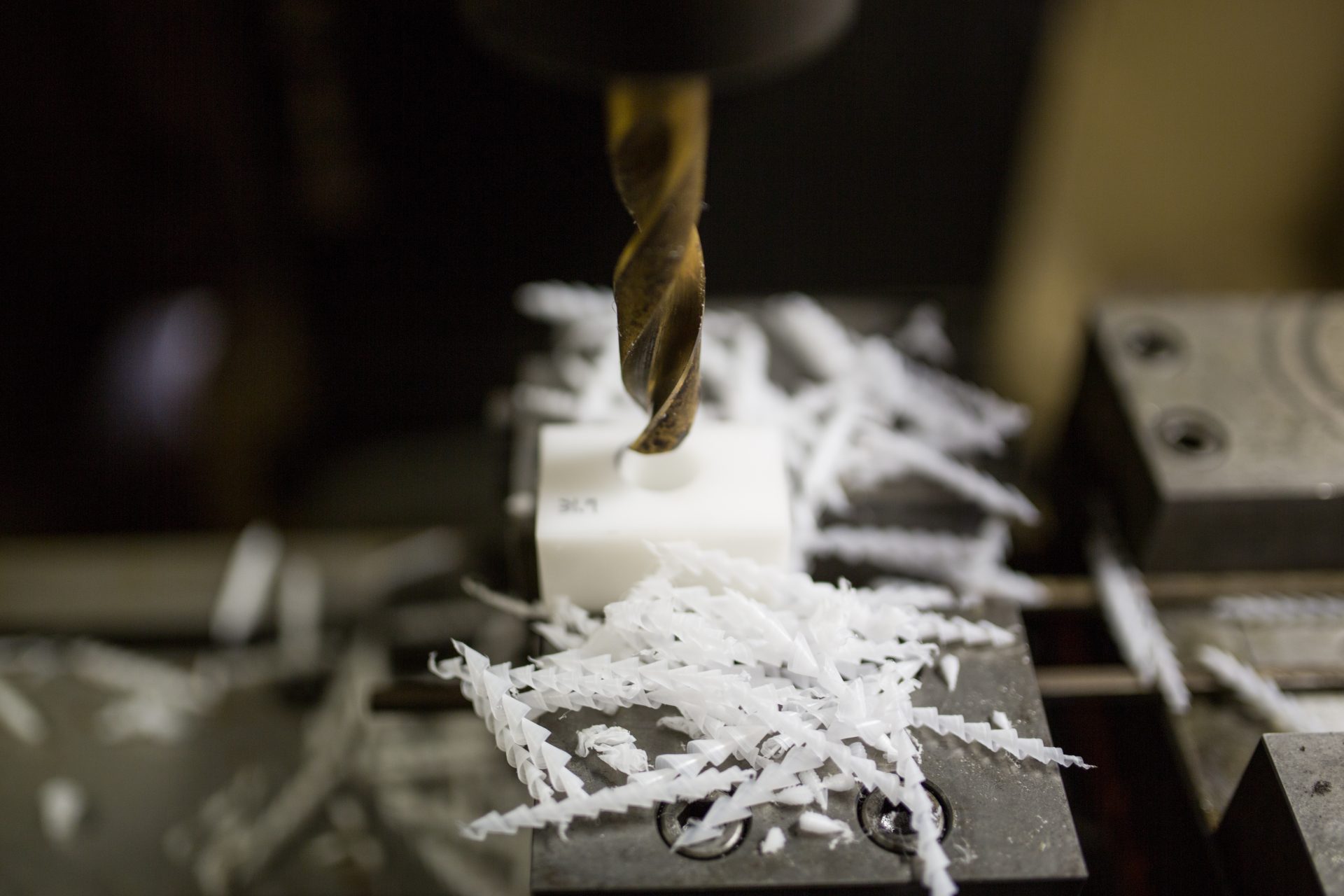 AdobeStock_258285306